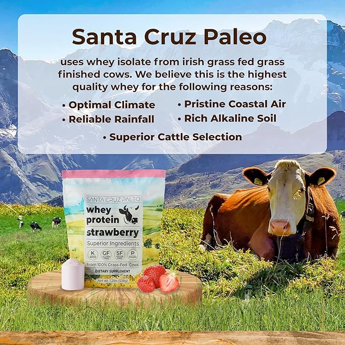 Santa Cruz Paleo Whey Protein Powder Strawberry 20g Grass Fed Whey Protein Isolate Per Serving Gluten Free Keto Sugar Free Paleo Natural Post Workout Muscle Support 20 Servings 1.2lb Bag