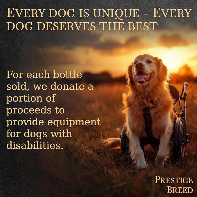 Multivitamins Balanced Nutrition for Dachshund 90 Count Made in The USA with Real Bacon