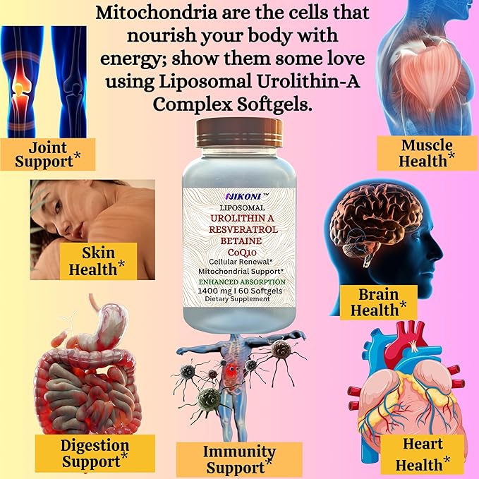 Nikoni Liposomal Urolithin-A Supplement 1400mg Supports Healthy Aging Cellular Renewal &amp Muscle Health- 240 Softgels