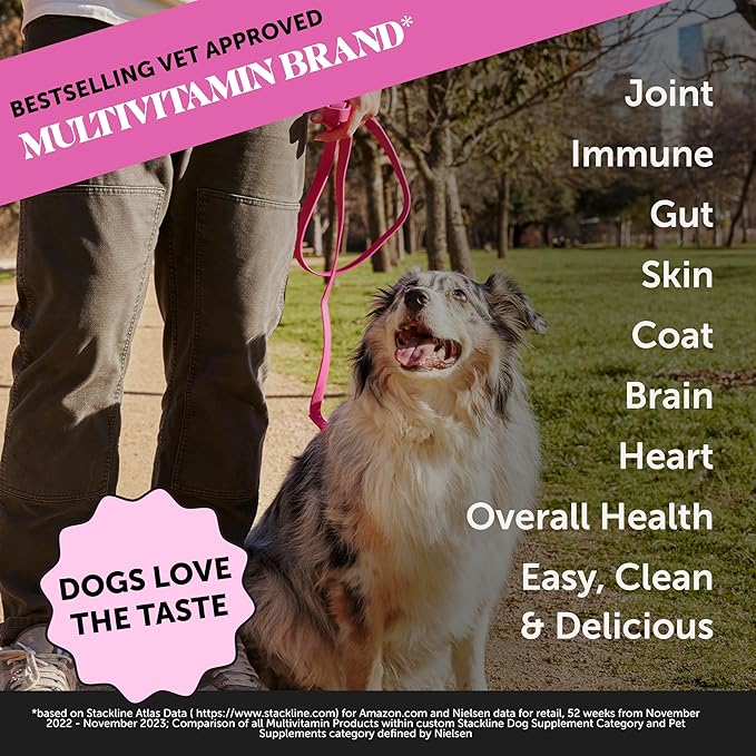 Dog Multivitamin Supplement with Salmon Oil for Dogs - Allergy Itch Relief Digestion Skin &amp Coat Health Liquid Supplement - Dog Food Topper Bone Broth with Prebiotics (12 oz)