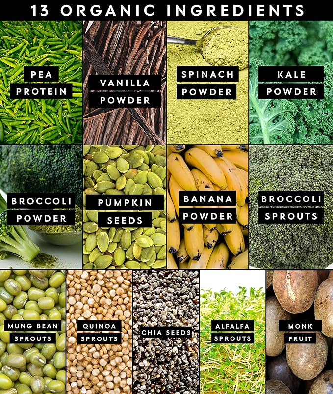 Truvani Protein + Greens Supplement | Spinach Kale &amp Broccoli | 10g Organic Plant Based Protein | 20 Servings | USDA Organic | Gluten &amp Dairy Free | Vegan | No Added Sugar